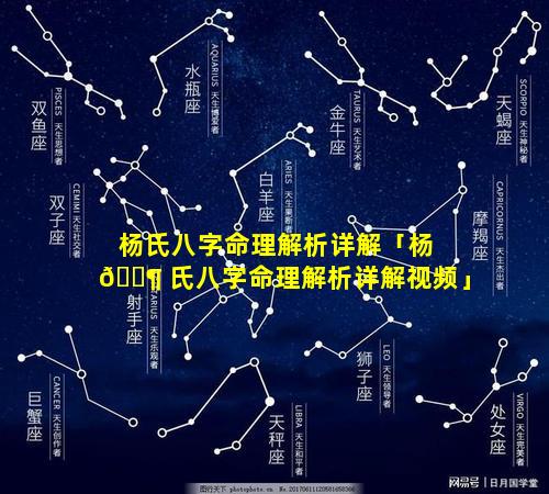 杨氏八字命理解析详解「杨 🐶 氏八字命理解析详解视频」